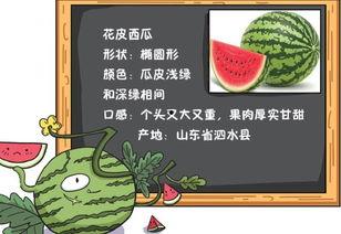 吃瓜小读,揭秘娱乐圈幕后故事
