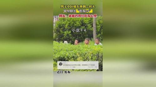 骑车吃瓜摔倒,安全骑行需警惕细节