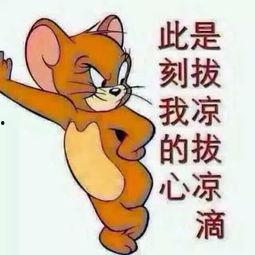 真吃瓜群众图片高清,揭秘网络热议背后的真实面孔