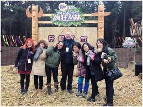 吃瓜群众迷你团队,揭秘网络热议背后的故事