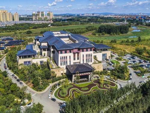 清河半岛吃瓜,瓜果飘香，品味夏日田园风光