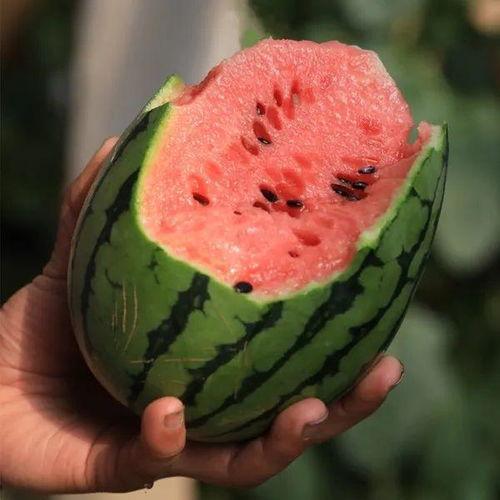吃瓜详细